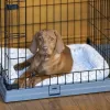FERPLAST Superior 90 - trasportino per cani - 92 x 58,5 x 62,5 cm