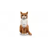 LEGO IDEAS 21376 Gatto arancione