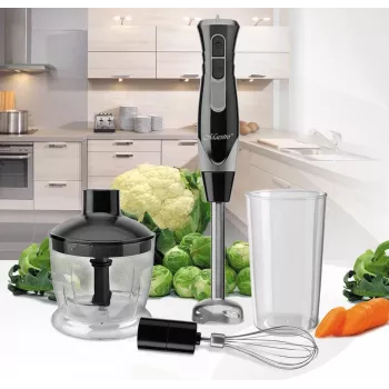 Frullatore a immersione Maestro MR-566, 500 W, 2 velocità, turbo, frusta, tritatutto 600 ml, contenitore in vetro 900 ml, acciaio inox