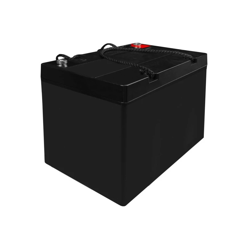 Batteria AGM VRLA 12V 55Ah IP54