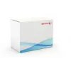 Xerox Transfer Roller, WorkCentre 7525/7530/7535/7545/7556, 1 pz.