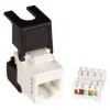 Flip jack Ethernet Cat6 non schermato Lanview LVN128143 — supporto modulo keystone RJ45