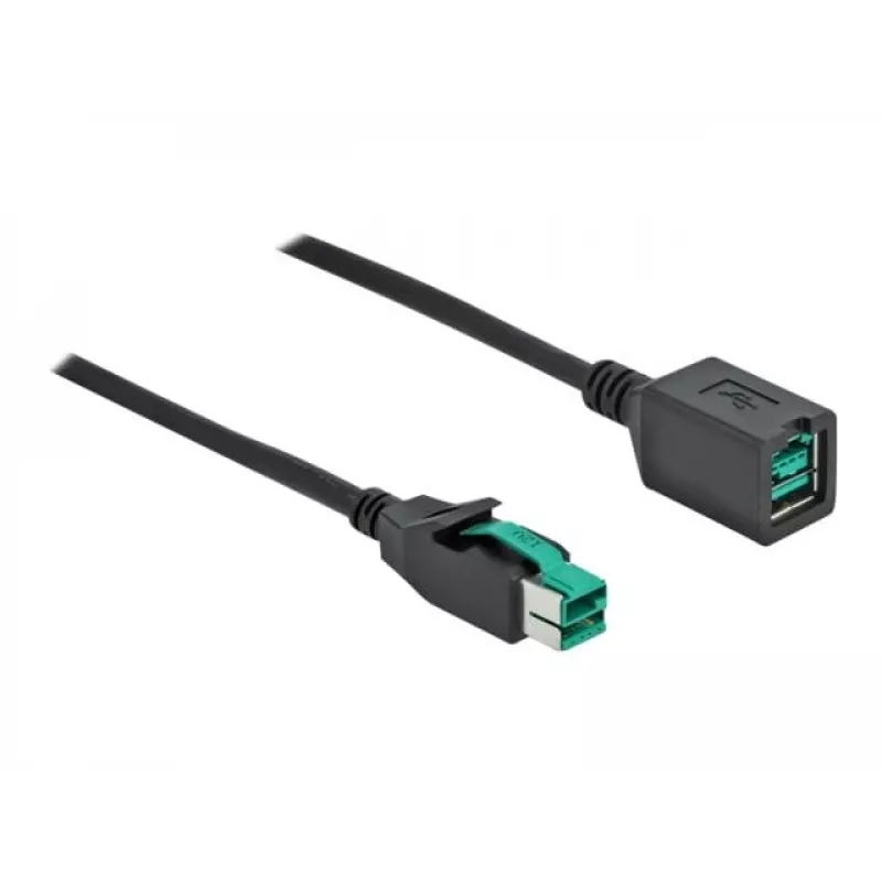 Prolunga USB alimentata DeLOCK 85980 12 V 1 m