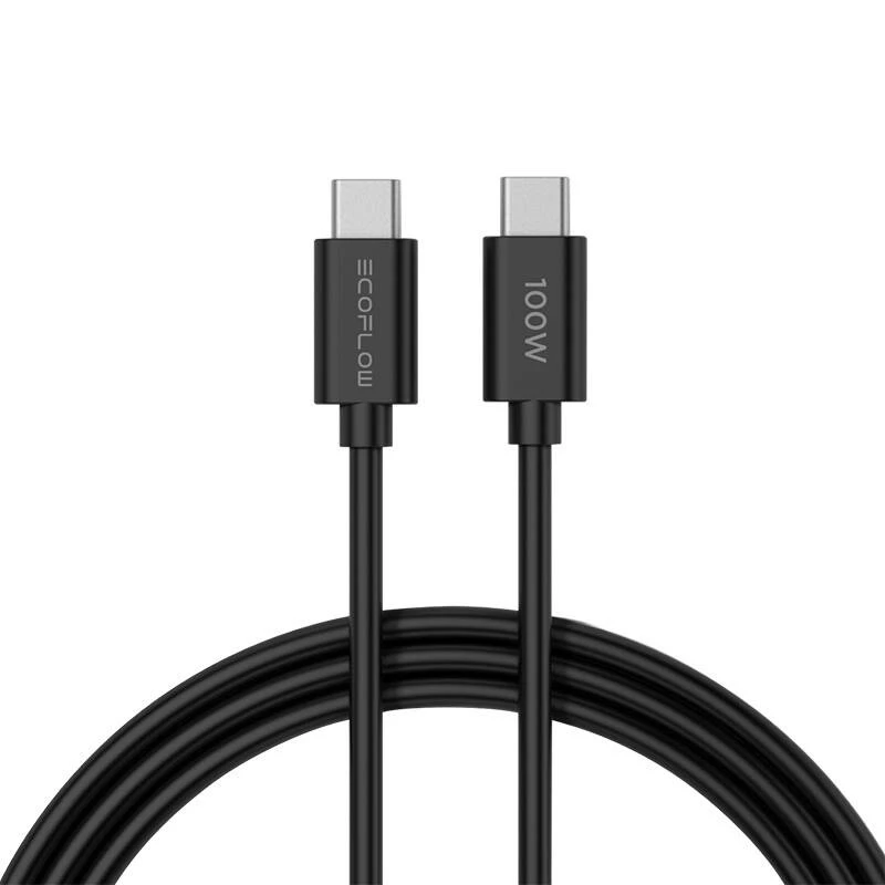 Caricabatterie ECOFLOW 65W
