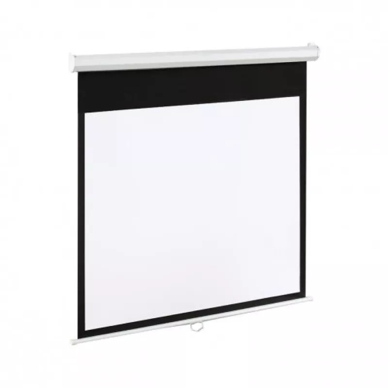 Art EL E100 Display 16:9 Electric EM (100, 16:9), schermo per proiezione, bianco