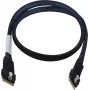 Cavo Adaptec 1x SFF8654 x8 -> 1x SFF8654 x8 NVMe interno 0,8 m cavo SlimSAS -> SlimSAS per unità NVMe