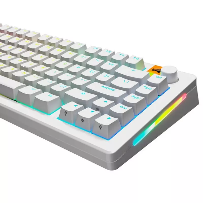 Tasti GLORIOUS GPBT Backlit — PBT bianco, layout ANSI