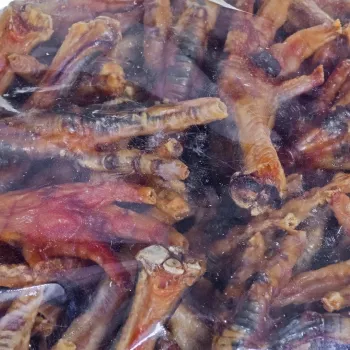 PETMEX Zampa di pollo da masticare per cani - 1 kg