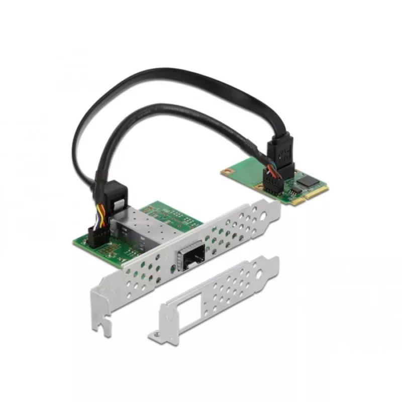 Scheda interfaccia DeLOCK 95267 interna SFP Mini PCI Express