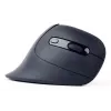 Gembird MUSW-ERGO-03 Mouse per uso domestico per destrorsi RF Wireless Ottico 1600 DPI