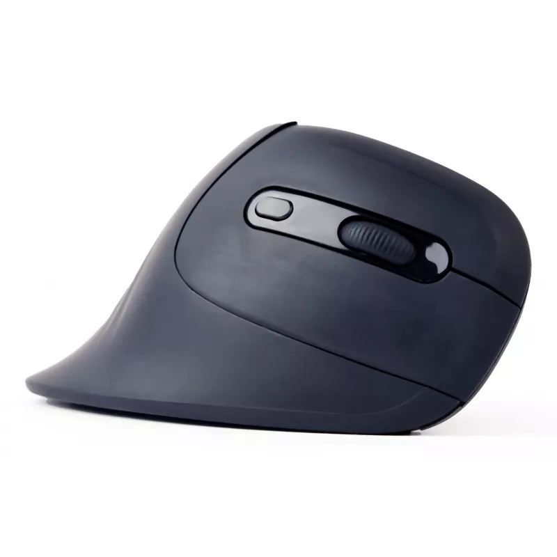 Gembird MUSW-ERGO-03 Mouse per uso domestico per destrorsi RF Wireless Ottico 1600 DPI