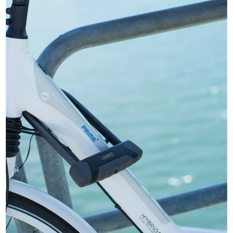 Abus Security-center 11185 nero