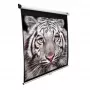 Elite Screens | M139NWX | Diagonale 353 inch | 16:10 | Larghezza visibile dello schermo (B) 2,98 cm | bianco
