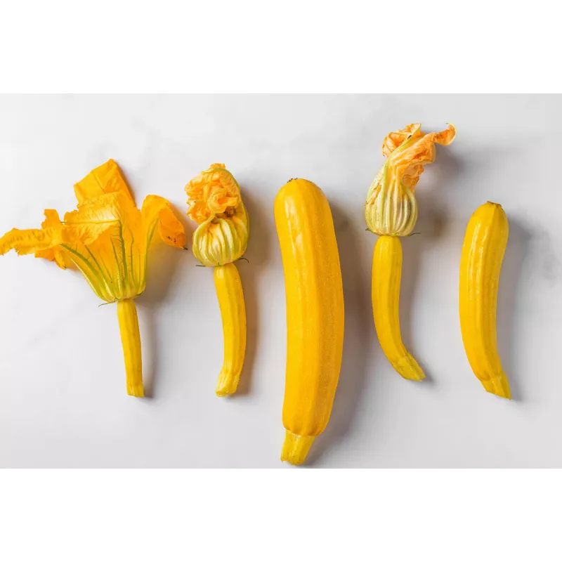 Semi di ortaggi zucchino dorato Toraf, confezione da 5g