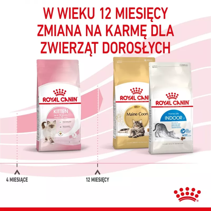 Royal Canin Kitten cibo secco per gatti 2 kg