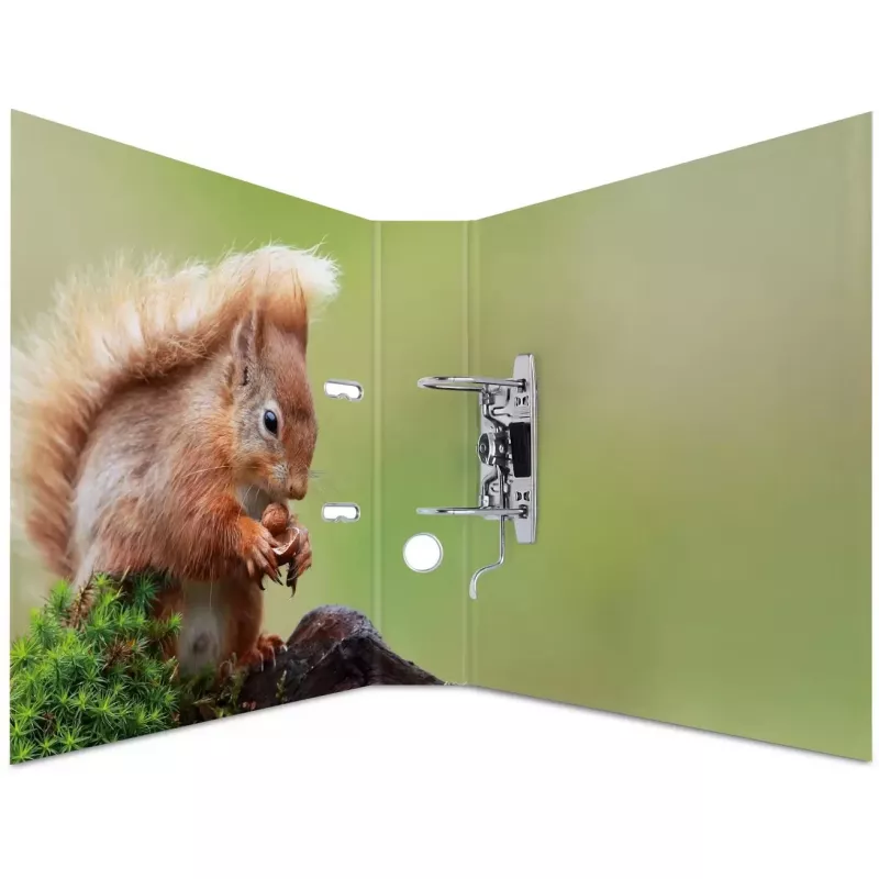 Raccoglitore ad anelli HERMA 7202 A4 multicolore