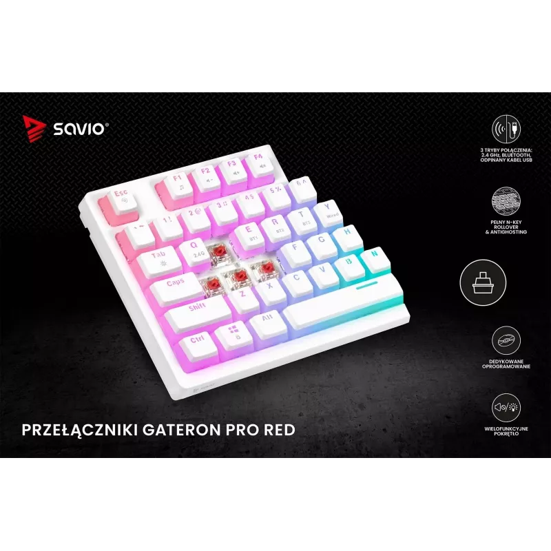 Tastiera gaming Savio Phenix WHITE GAT RED PUD con filo wireless USB Bluetooth RGB LED