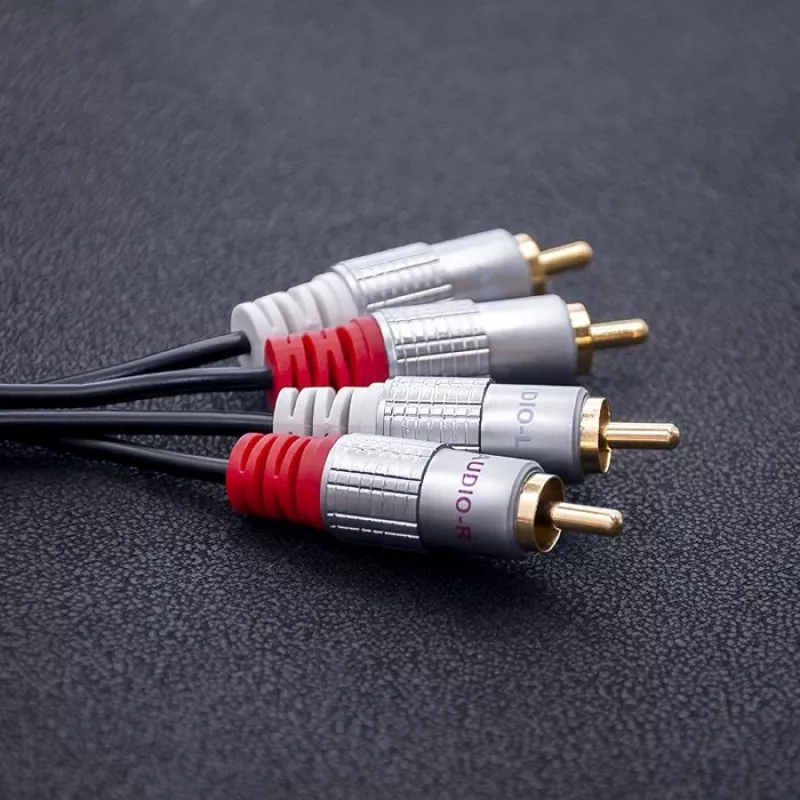 Cavo audio Qoltec 52337 2 m 2 x RCA nero