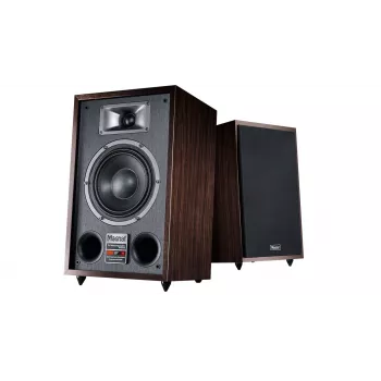 Diffusore da pavimento Magnat TRANSPULS 800A 2 vie con e senza fili 2×60 W, Bluetooth 5.0, HDMI, nero/marrone