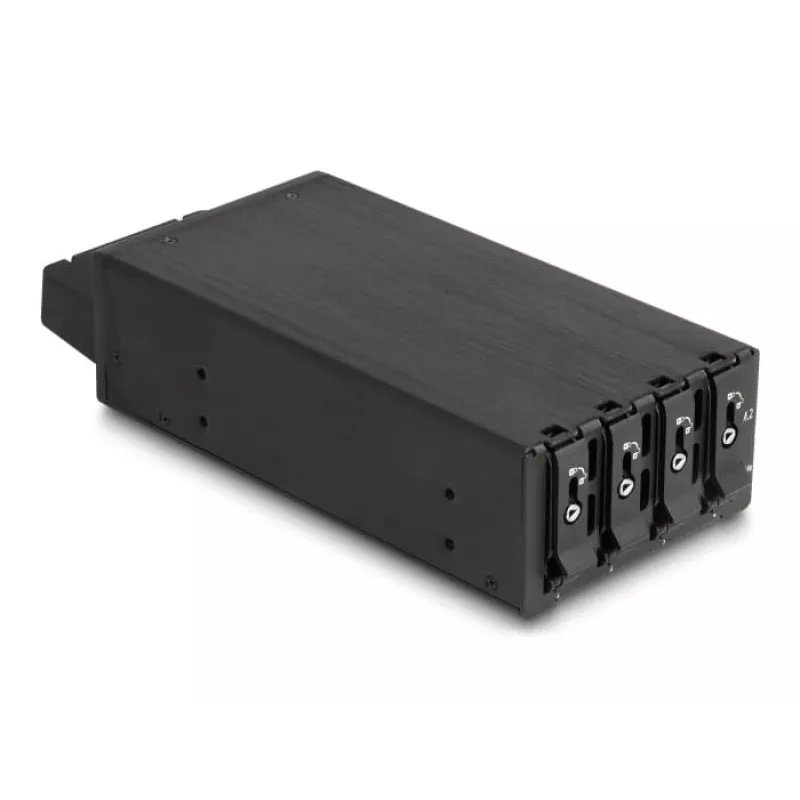 Alloggiamento HDD DeLOCK 47126 compatibile rack metallo larghezza 72mm