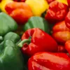 PNOS miscela di semi di peperone dolce, 0,6 g