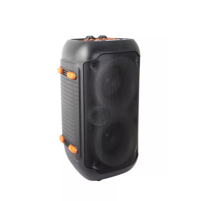 Esperanza EP156 BT FM LED RGB diffusore KARAOKE nero 20W