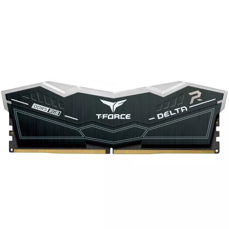 DIMM 32 GB DDR5-6000 (2x 16 GB) kit dual, memoria nero, FF3D532G6000HC30DC01, Delta RGB, INTEL XMP