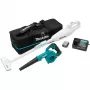 Kit combinato a batteria CLX245SAX1, 12 Volt, soffiatore per foglie blu/nero, batteria agli ioni di litio 2,0 Ah, aspirapolvere a batteria e soffiatore a batteria