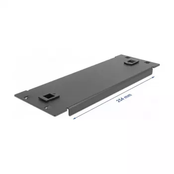Pannello cieco DeLOCK armadio di rete 10