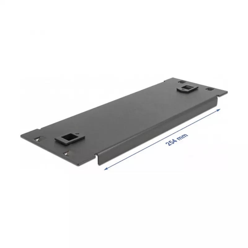 Pannello cieco DeLOCK armadio di rete 10