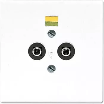 Presa JUNG LS 965-2 WW