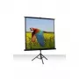 Schermo a treppiede Celexon Economy 1:1 184 x 184 (1090016)