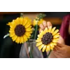 LEGO BOTANICALS 11502 Bouquet di girasoli
