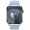 Apple PWAWZ-100389 prodotto
