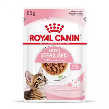 Royal Canin FHN Kitten Sterilised cibo umido per gatti in salsa, confezione da 12 x 85 g