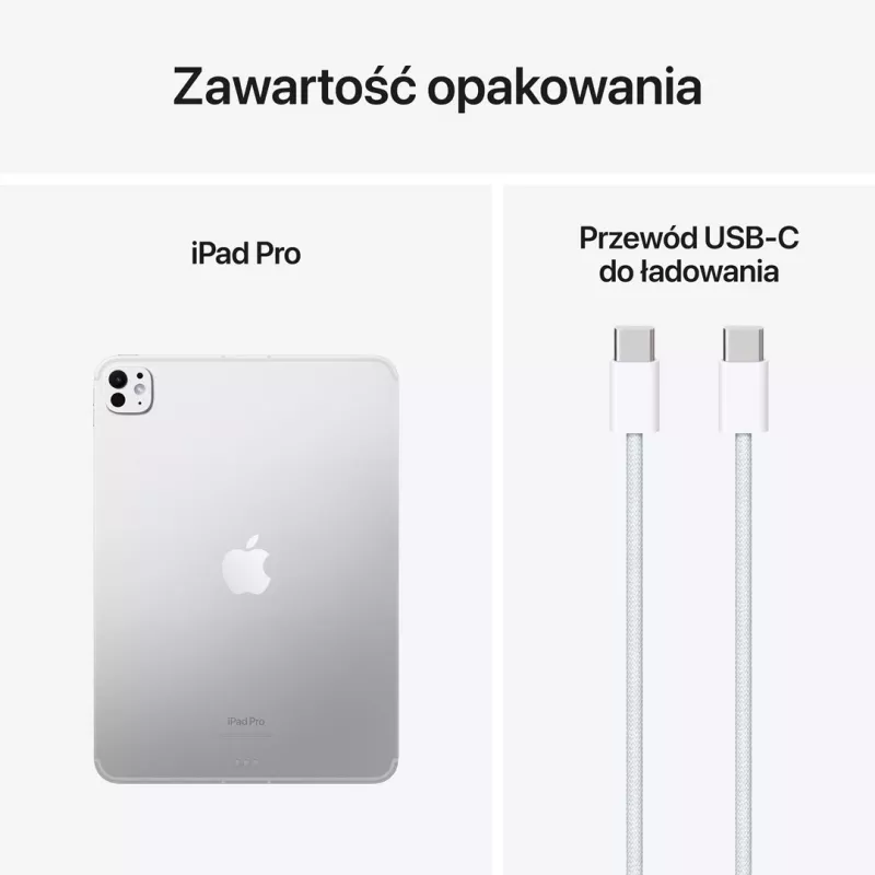 Apple iPad 11
