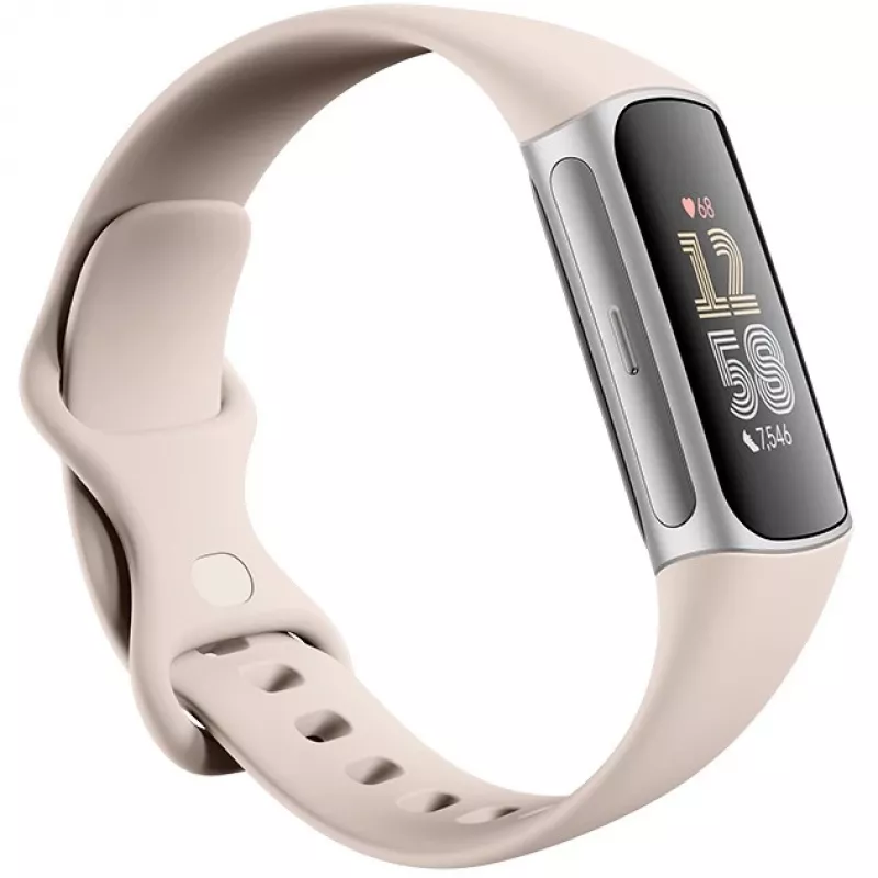 Fitbit GA05185-EU Prodotto argento