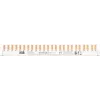 ABB PSc 3/24/10 N barra di fase 3Ph.+N 24Pins 10 mm² (2CDL230331R1012)