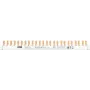 ABB PSc 3/24/10 N barra di fase 3Ph.+N 24Pins 10 mm² (2CDL230331R1012)