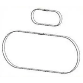 Zebra P1046696-146 ricambio/accessorio per stampante/scanner cinghia 2 pz.