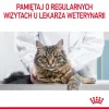 Royal Canin Urinary Care crocchette per gatti 4 kg