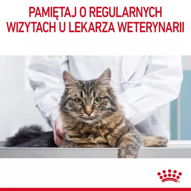 Royal Canin Urinary Care crocchette per gatti 4 kg
