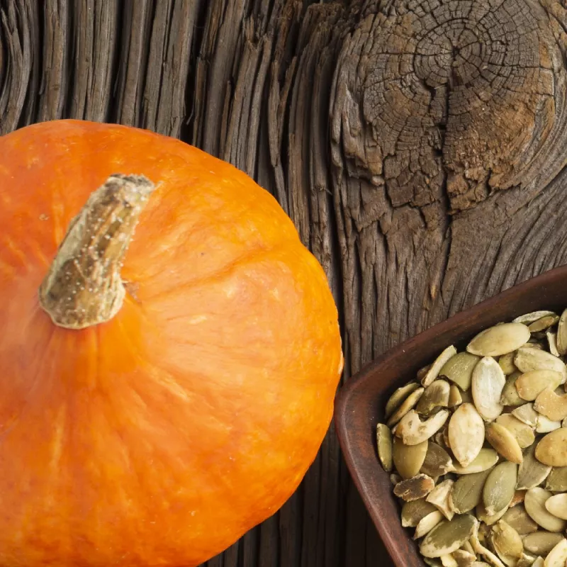 PNOS zucca gigante Dolores semi di ortaggi, 5 g