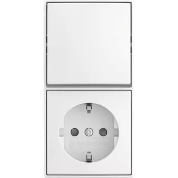 BUSCH JAEGER interruttore a bilanciere combinato 2601/6/20 EAPBJ-524 (2TKA00005536)