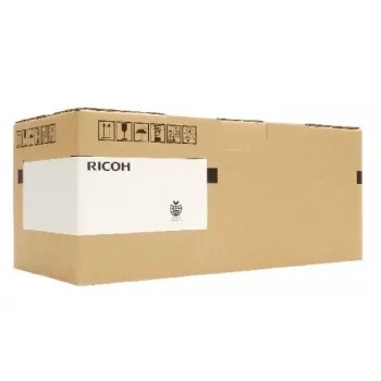 Ricoh RI 1000 Type G1 High Yield (342782) cartuccia inchiostro per tessuti, giallo