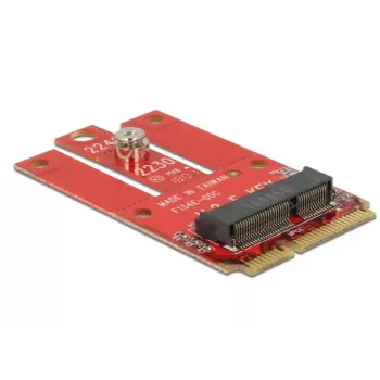 Adattatore interno M.2 DeLOCK 63909