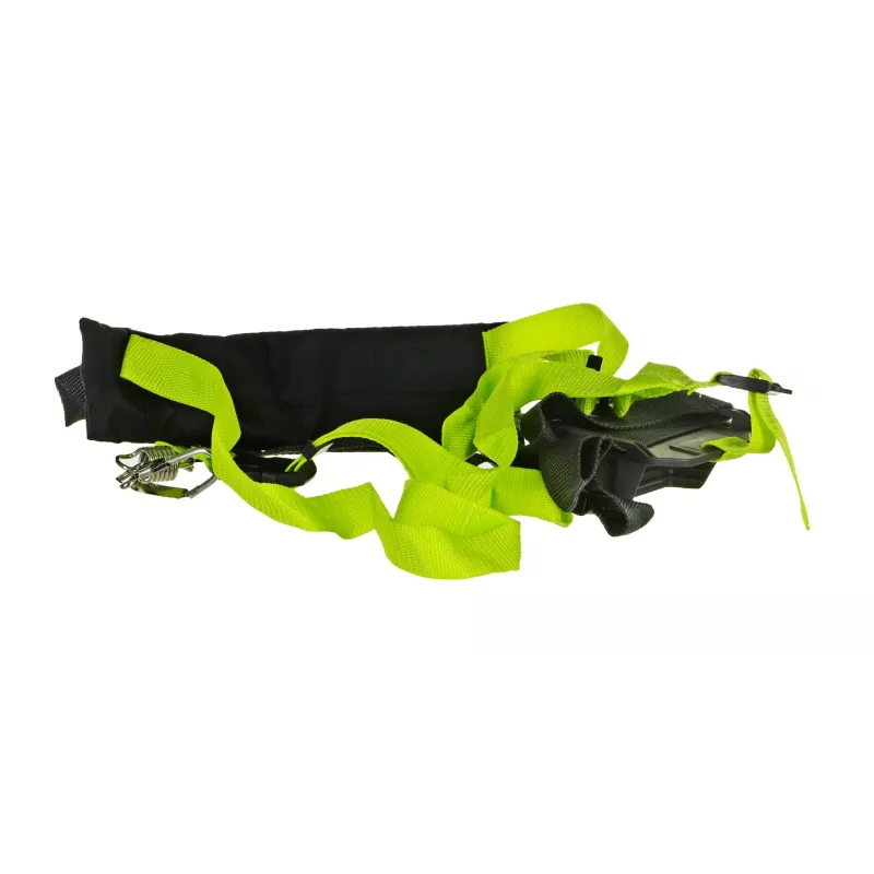 Potatore ad asta elettrico 750W 25cm/accessorio olio RYOBI