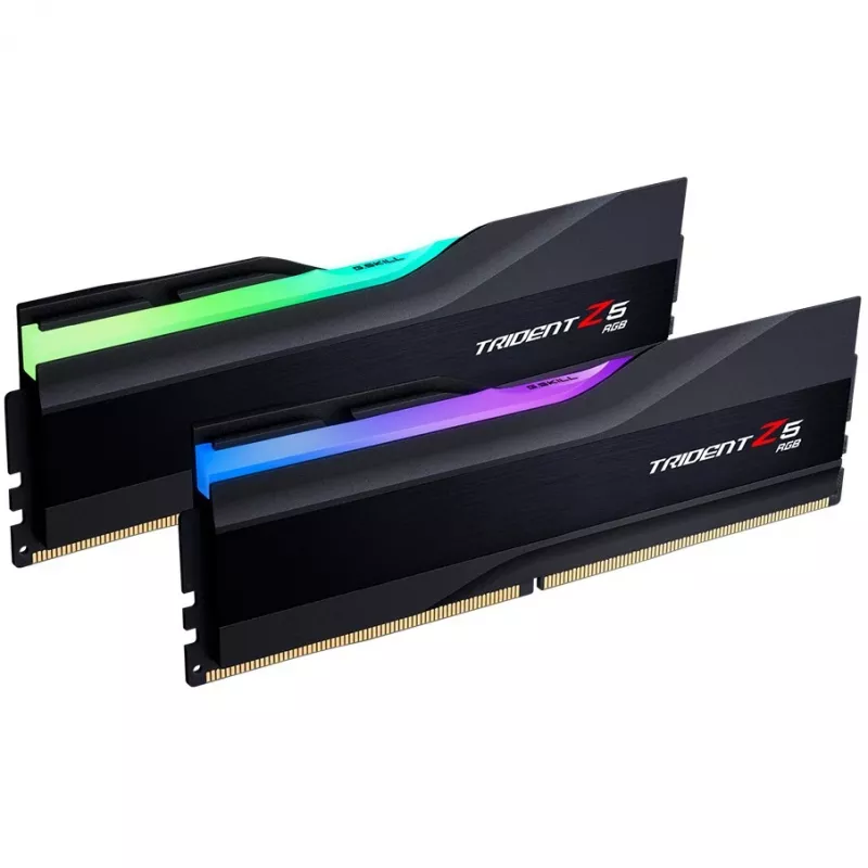 G.skill F5-6400J3239F24GX2-TZ5RK modulo di memoria