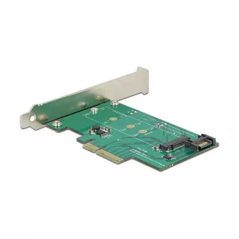 Scheda interfaccia DeLOCK 89381 interna M.2 SATA