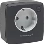 eQ-3 AG Homematic IP 161613A0, interno, antracite, plastica, IP20, IP20, 70 mm